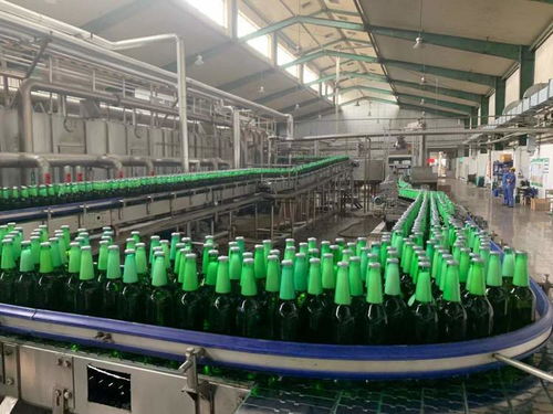 一表集成、自動(dòng)計(jì)算 上海17稅費(fèi)種綜合申報(bào)賦能企業(yè)智慧辦稅